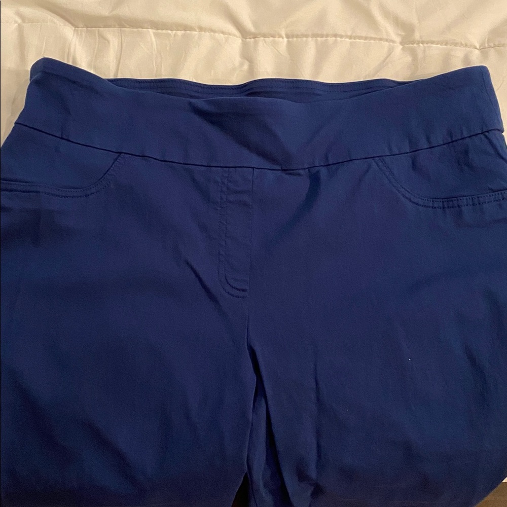 Ruby Rd. Navy 18 capris - Picture 4 of 6